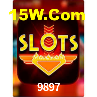 Premium Interface 9897