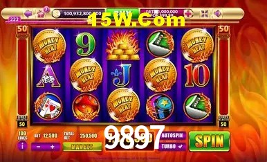 Sistemas de Segurança 9897