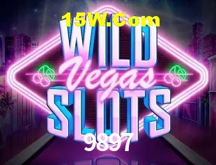 Ofertas Exclusivas 9897